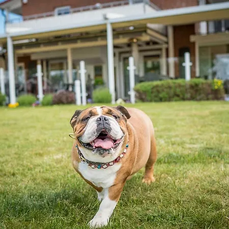 Ferienzentrum Yachthafen 아파트 *