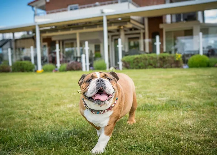 Ferienzentrum Yachthafen Apartament *